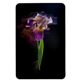 Abstract Iris Flower – Elegant Floral Art マグネット