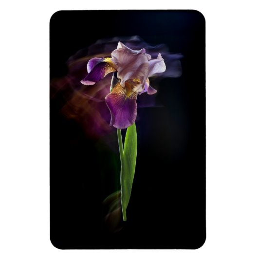 Abstract Iris Flower – Elegant Floral Art マグネット (縦)