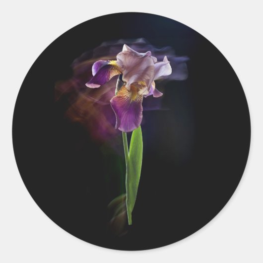 Abstract Iris Flower – Elegant Floral Art ラウンドシール (正面)