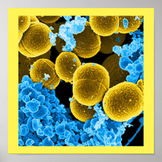 abstract microbiology art custom poster canvas ポスター