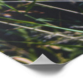 Abstract Nature Wall Art – Modern Landscape ポスター (角)