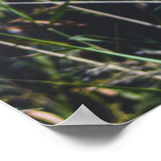 Abstract Nature Wall Art – Modern Landscape ポスター (角)