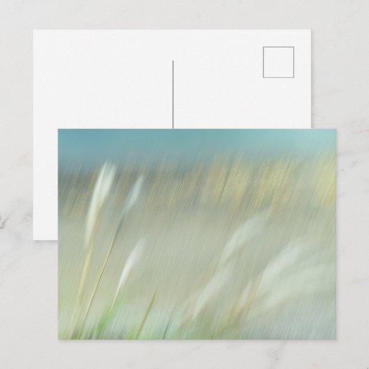 Abstract Photograph Postcard ポストカード (正面/裏面)
