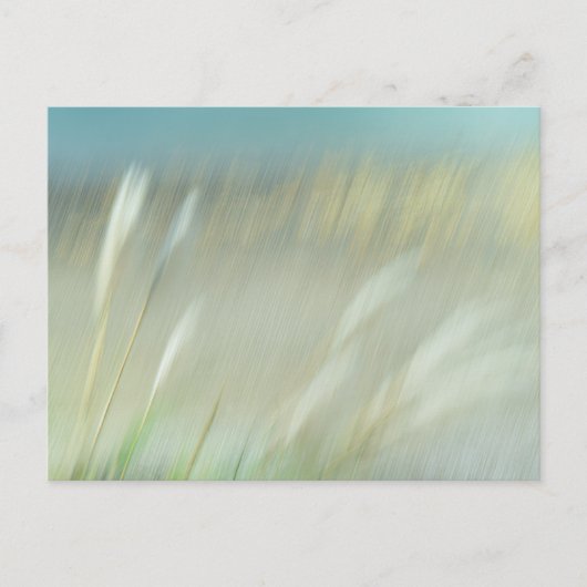 Abstract Photograph Postcard ポストカード (正面)