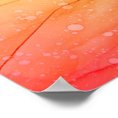 Abstract rainbow colorful background,  wallpaper.  ポスター (角)