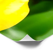 ABSTRACT YELLOW AND GREEN DRAWING. SAMER BRASIL. 3 ポスター (コーナー)