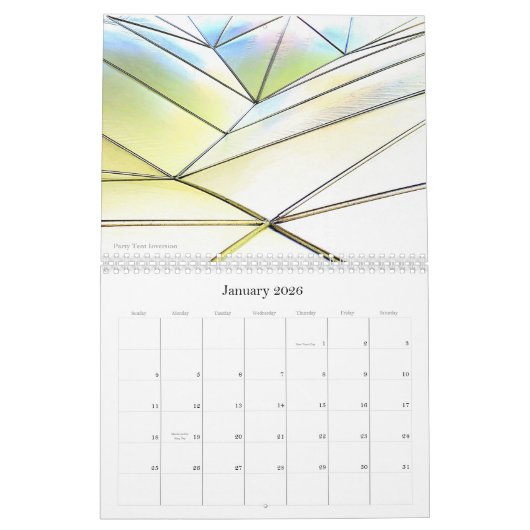 Abstractions 2026, A Calendar by Liza Dey カレンダー (1月 2026)