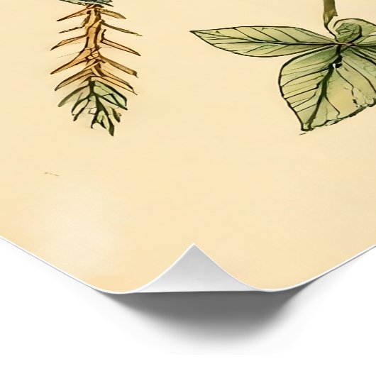 Abstrakte Herz Illustration ポスター (コーナー)