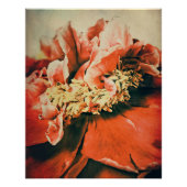 Abstrakte Pfingstrose ポスター (正面)