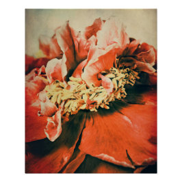 Abstrakte Pfingstrose ポスター