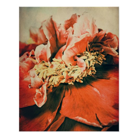 Abstrakte Pfingstrose ポスター (正面)