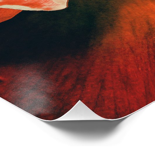 Abstrakte Pfingstrose ポスター (コーナー)