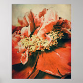 Abstrakte Pfingstrose ポスター (正面)