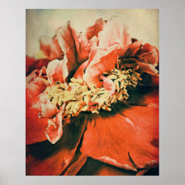 Abstrakte Pfingstrose ポスター