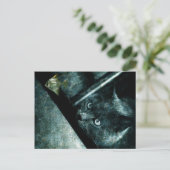 Abyss cat – ポストカード (スタンド正面)