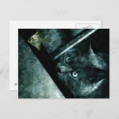 Abyss cat – ポストカード (正面/裏面)