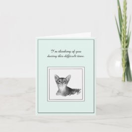 Abyssinian Cat Sympathy Card カード