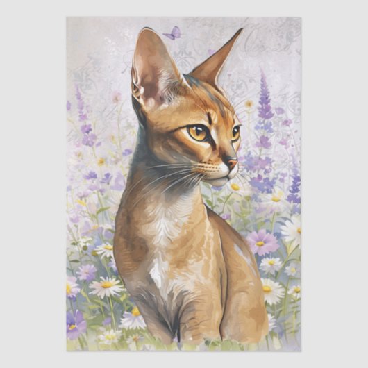 Abyssinian Cat Watercolor 薄葉紙 (正面)