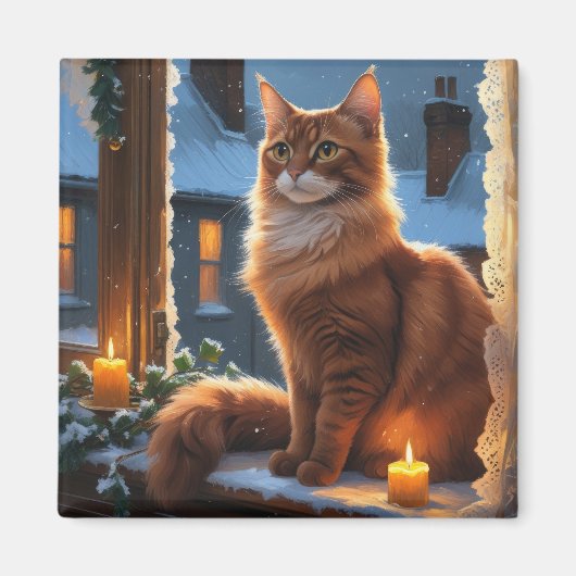 Abyssinian Cat With Christmas Lights Holiday マグネット (正面)