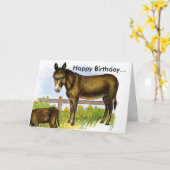 ABZ50025、ハッピーバースデー… カード (黄色い花)