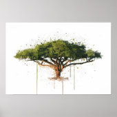 Acacia ポスター (正面)