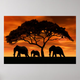 Acacia Elephant Sunset ポスター