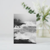 Acadiaサーフポストカード – 3 ポストカード (スタンド正面)