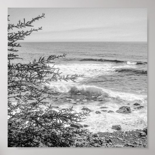 Acadia Maine Coastline Black and White Archival ポスター (正面)