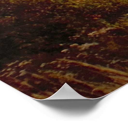 Acadia National Park Maine写真 ポスター (角)