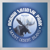 Acadia National Park (moose) ポスター (正面)