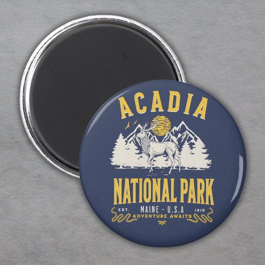 Acadia National Park Vintage Landscape マグネット