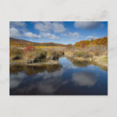 Acadia NP：秋の色、反射 ポストカード (正面)