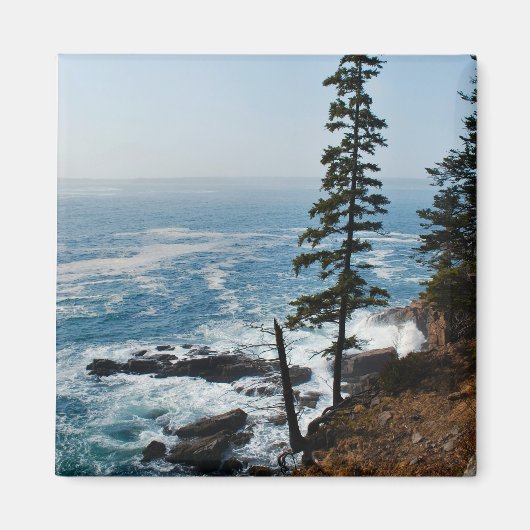 Acadia Shoreマグネット – 1 マグネット (正面)