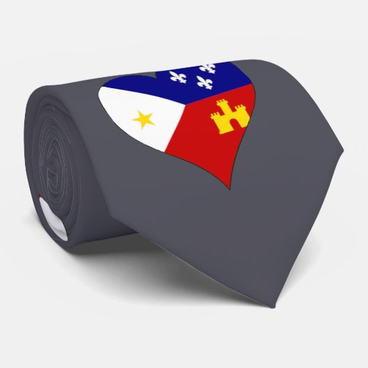 Acadianaの旗のケージャンのプライドの南ルイジアナの首のタイ ネクタイ (ロール)