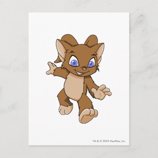 Acaraブラウン ポストカード (正面)