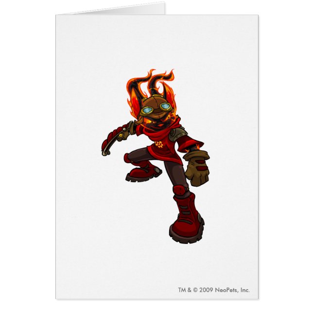 Acara Moltaraプレーヤー (正面)