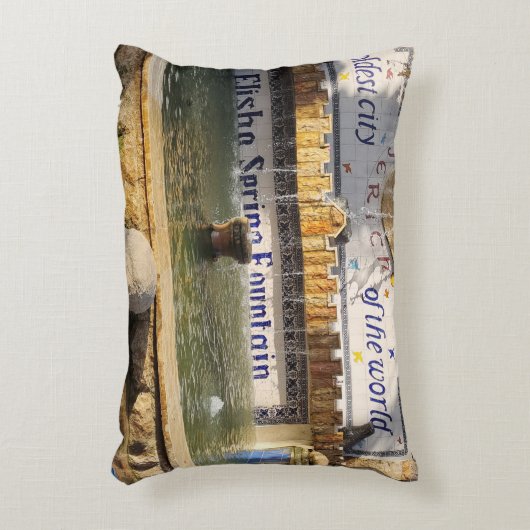 Accent Kussen アクセントクッション (正面(垂直))