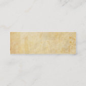 Accordianプレーヤー スキニー名刺 (裏面)