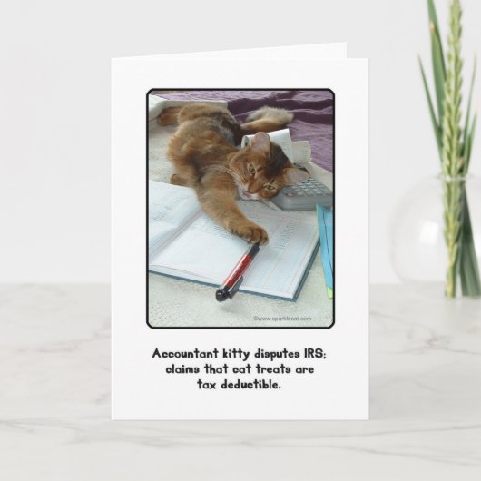 Accountant子猫グリーティングカード カード (正面)