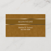 Accountant Business Card光沢のあるストライプ 名刺 (正面)