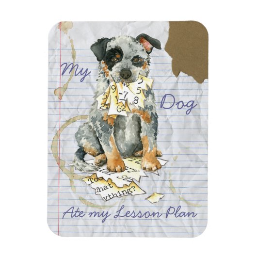 ACDのレッス食べンプラン マグネット (縦)