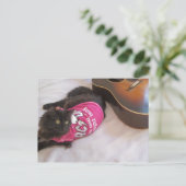 acdcシャツカード ポストカード (スタンド正面)