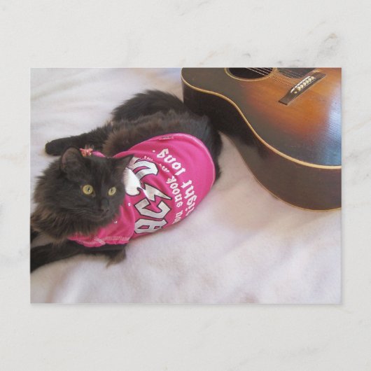 acdcシャツカード ポストカード (正面)