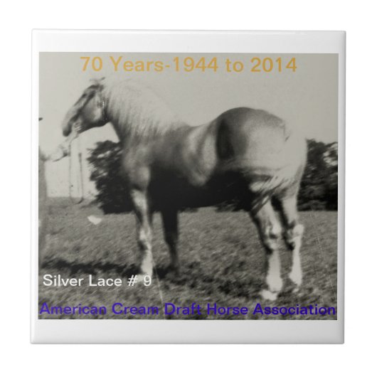 ACDHAの銀製のレース記念日のタイル タイル (正面)