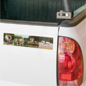 ACDHAはクリーム色のバンパーステッカーを所有します バンパーステッカー (トラック上)