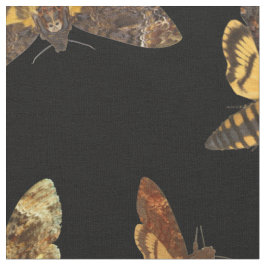 AcherontiaのLachesis -死ヘッドHawkmoth ファブリック