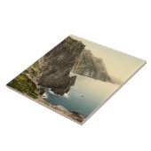 Achillの頭部。 郡メーヨー、アイルランド タイル (側面)