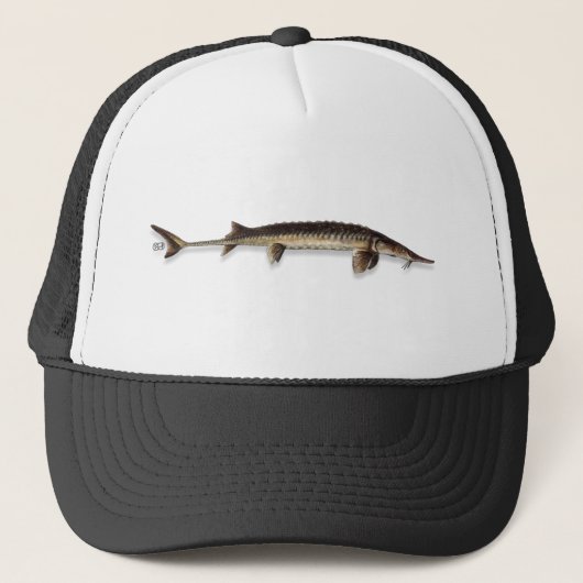 acigifts@yahoo.com - Hat/Cap - STURGEON-ALABAMA キャップ (正面)