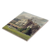 Ackermannの「芸術の貯蔵場所」からのEndsleigh、 タイル (側面)