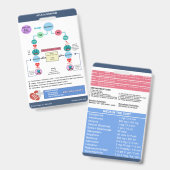 ACLSアルゴリズムによるナースCheats® バッジ (表裏)